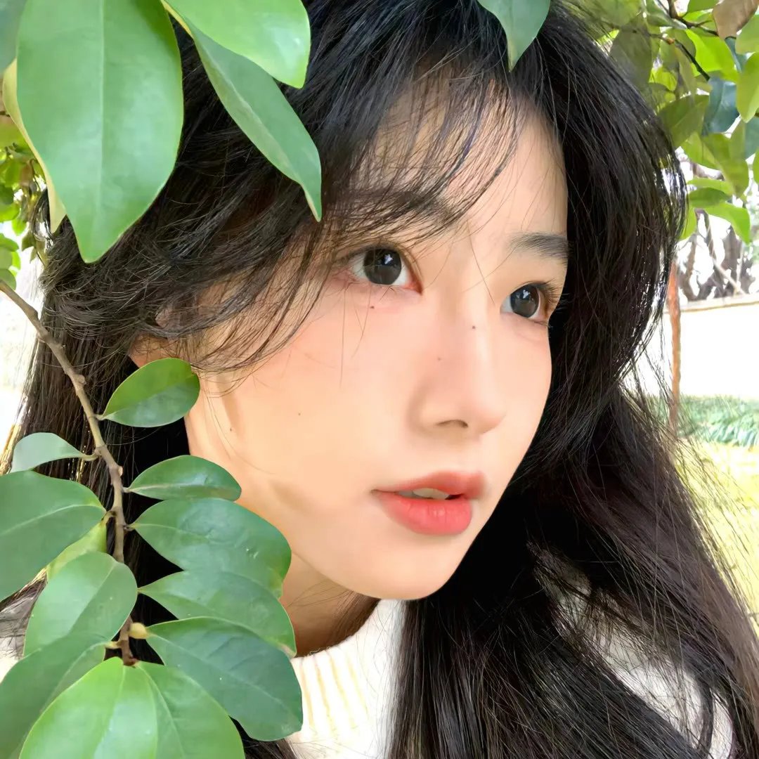 新小子